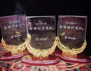 2018年中奖项